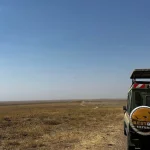 Serengeti vs Maasai Mara: Which Safari Destination Is Better?