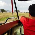 Tanzania Game Drives - What to Expect in the Serengeti and Beyond