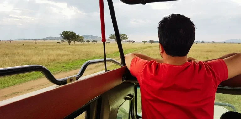Tanzania Game Drives – What to Expect in the Serengeti and Beyond