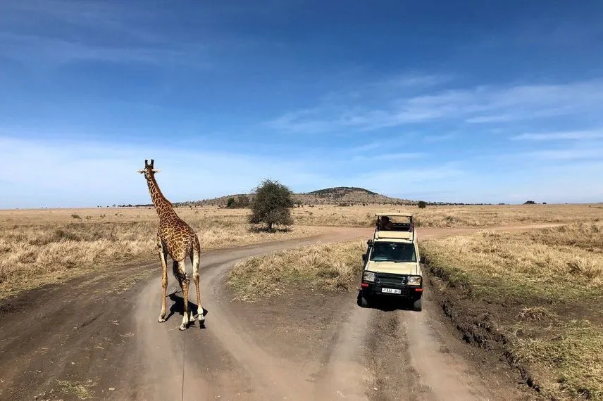 Tanzania Safari by Road