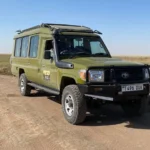 What’s the Best Budget Safari in Tanzania Without Missing the Experience?