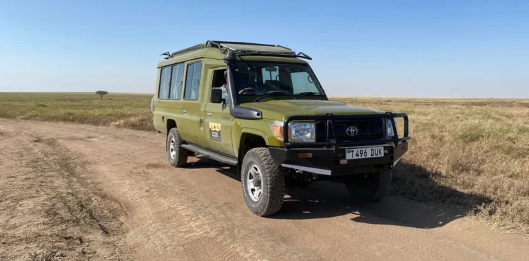 What’s the Best Budget Safari in Tanzania Without Missing the Experience?