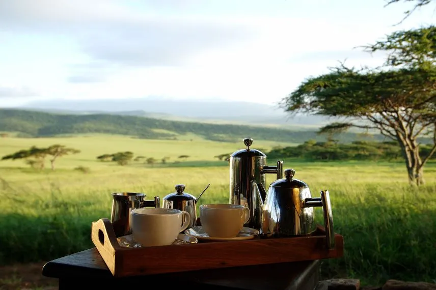 Morning Tea Coffee