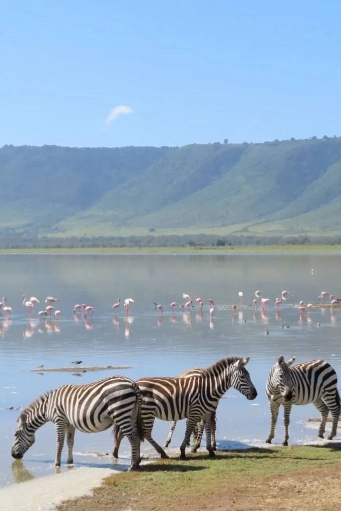 Ngorongoro Crater Safari