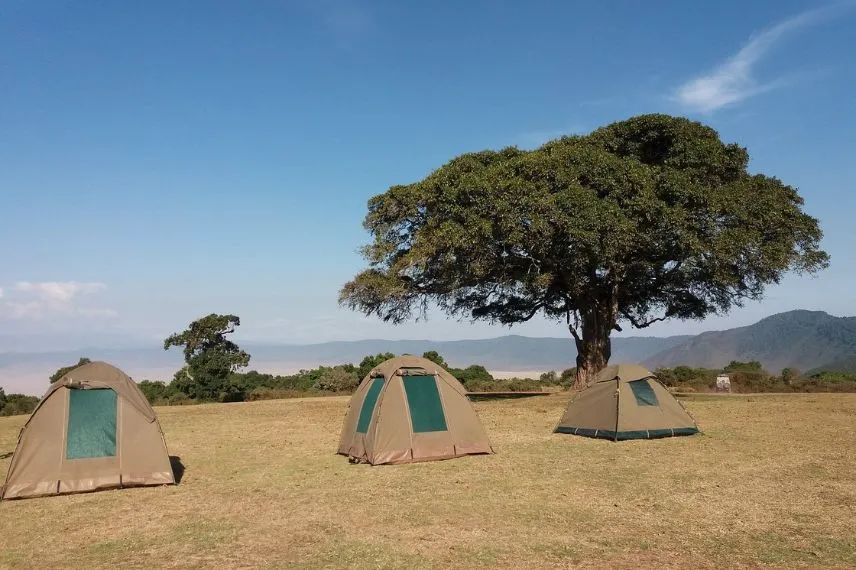 Tanzania Camping Safari