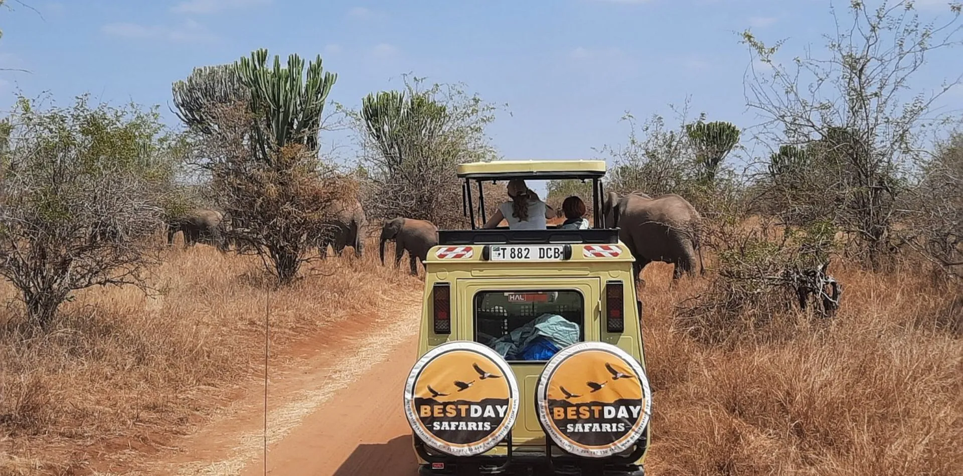 Tanzania Safari Tour Operator