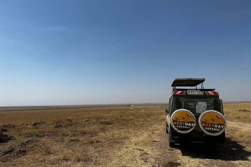bestday safari operators