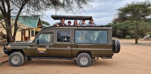 tanzania safaris