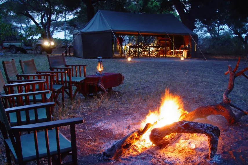 Warm Campfire Serengeti