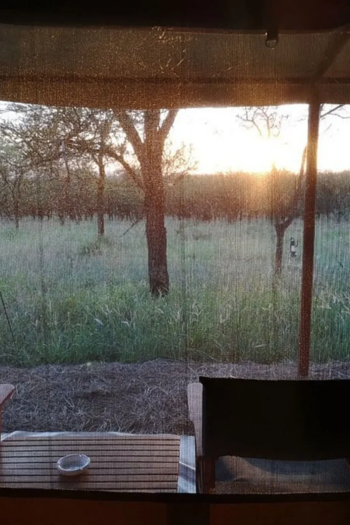 Best Tented Camp