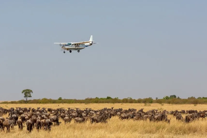 Flying Safari Tanzania