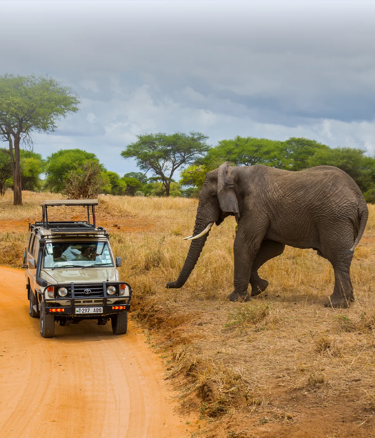 Arusha National Park Photography