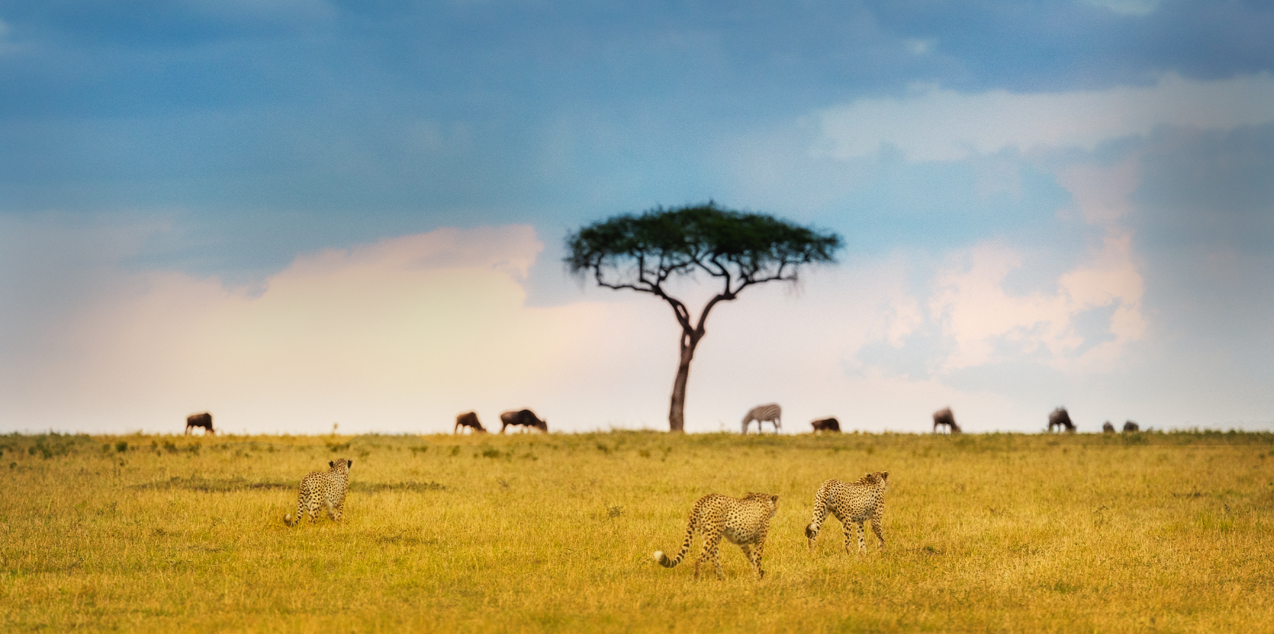 2 Days Safari Tanzania