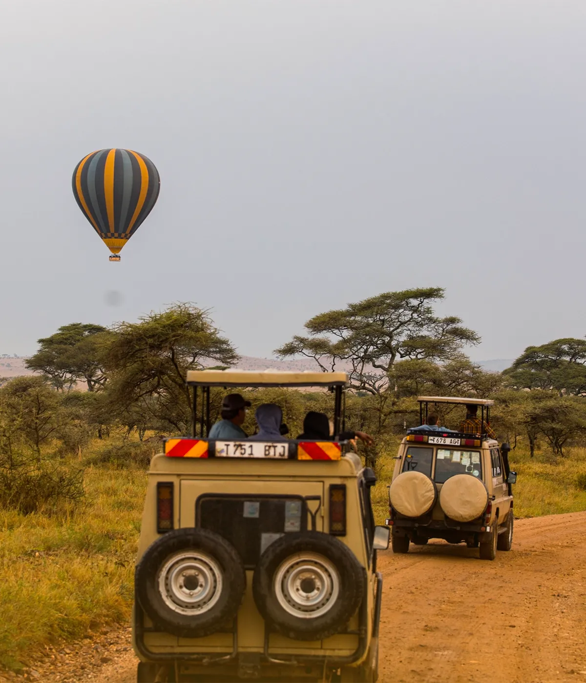 Serengeti National Park Game Drive