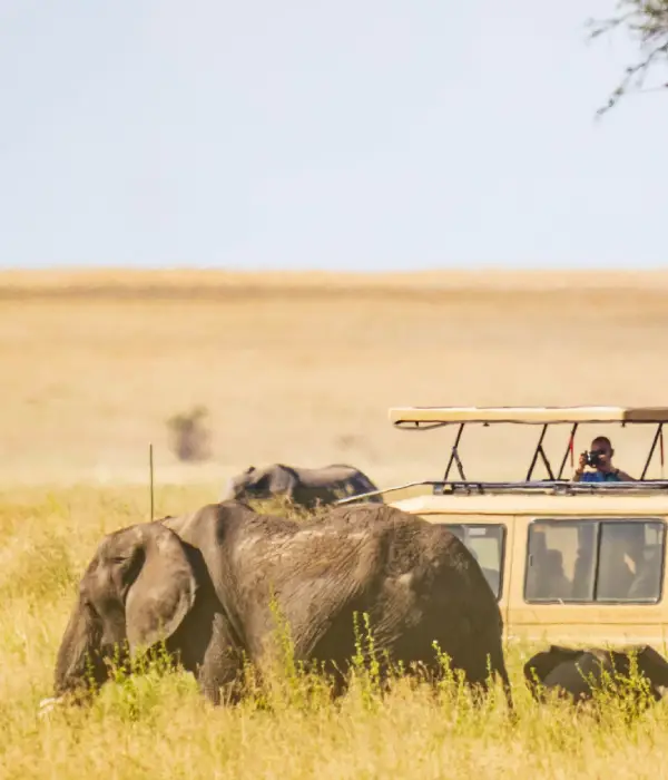 3 Days Tanzania Private Safari