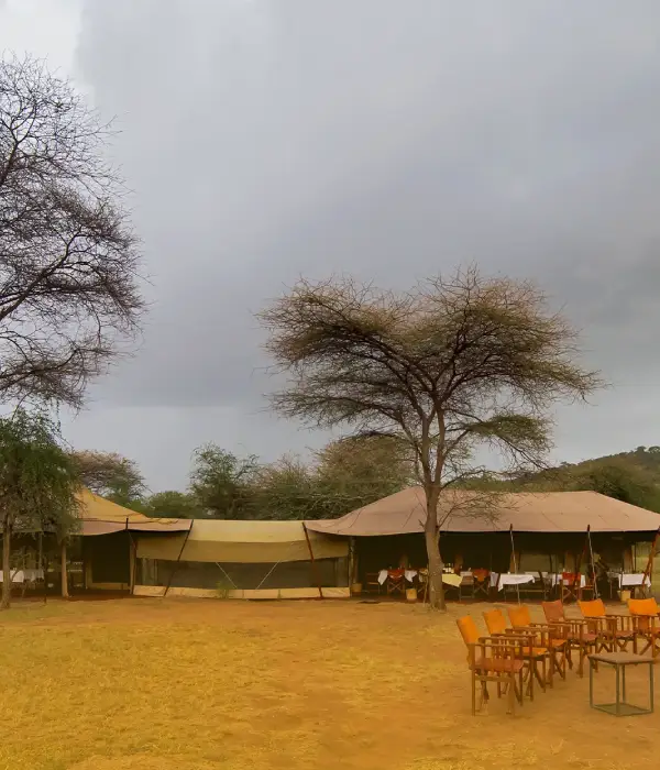 4 Days Tanzania Camping Safari