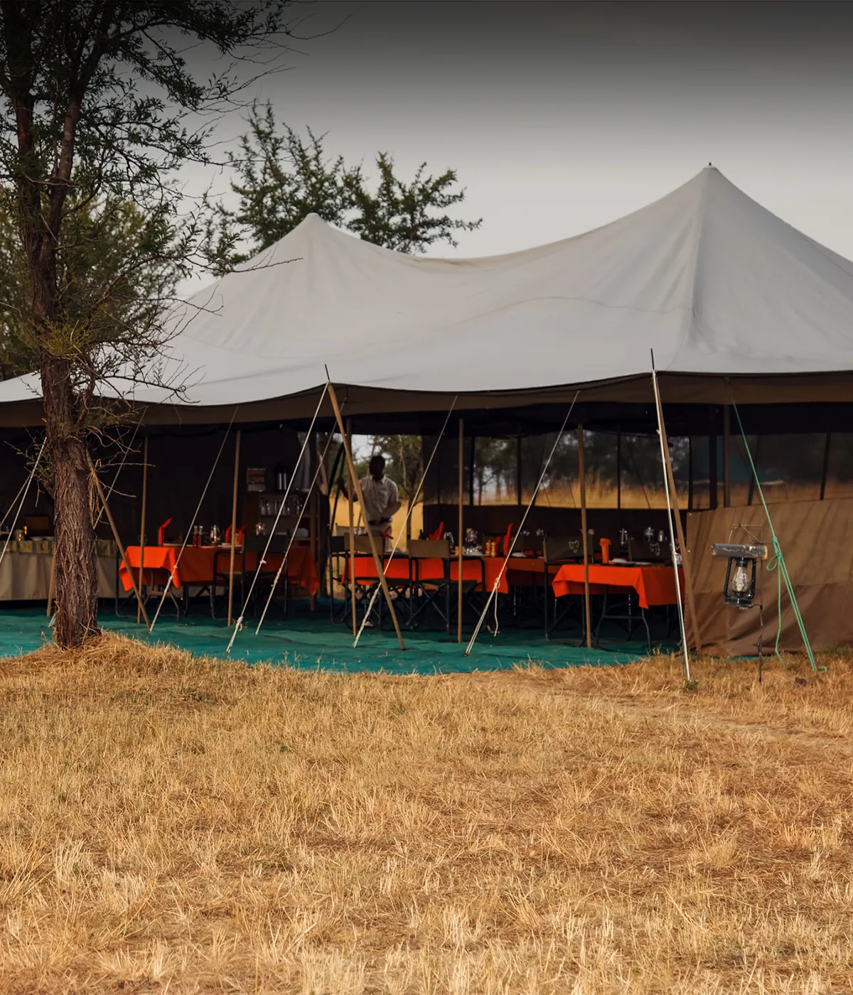 Serengeti Ngorongoro Crater Safari Camp