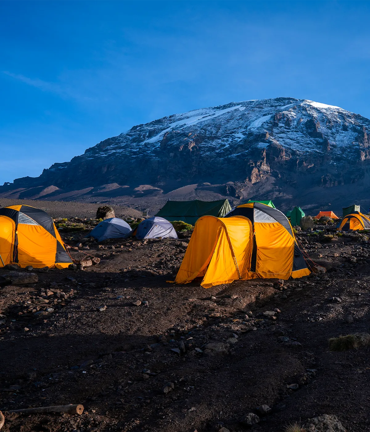 Horombo Hut