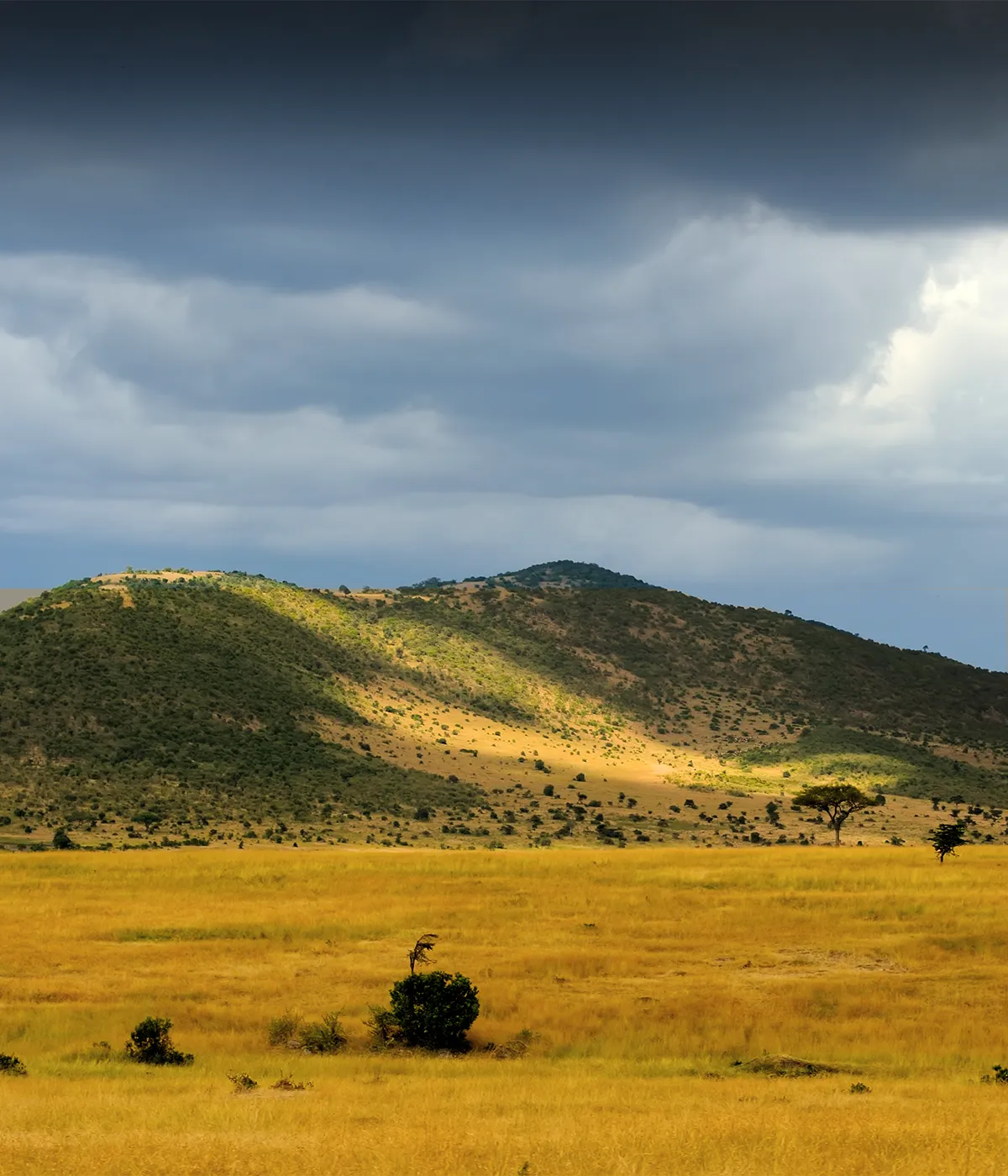 Ngorongoro crater Views