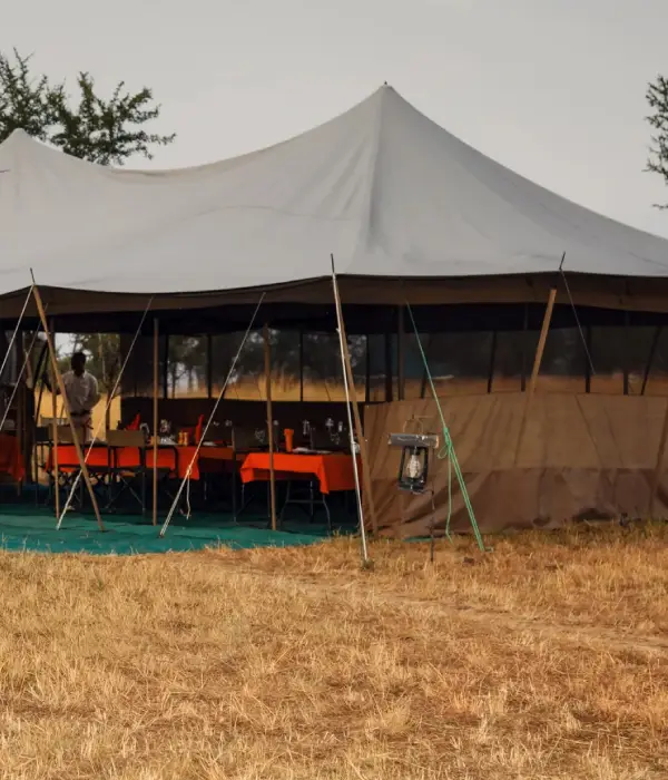 6 Days Tanzania Camping Safari