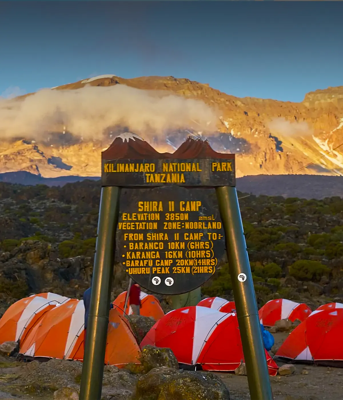 Shira Camp