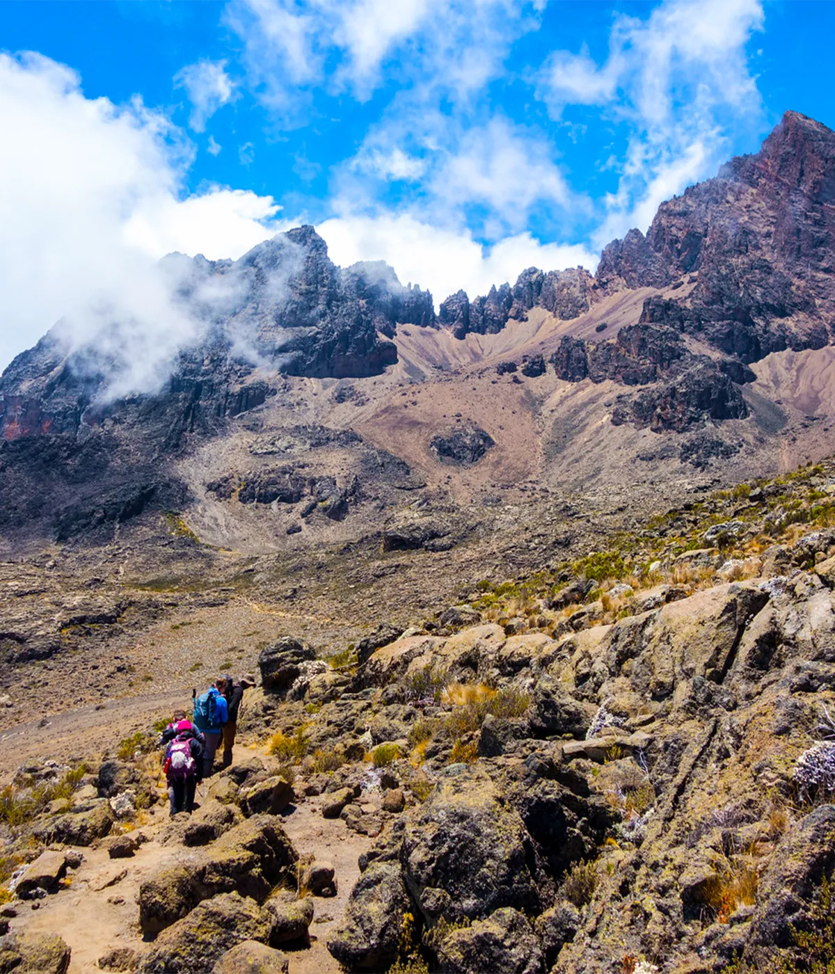 Horombo Hut Trekking