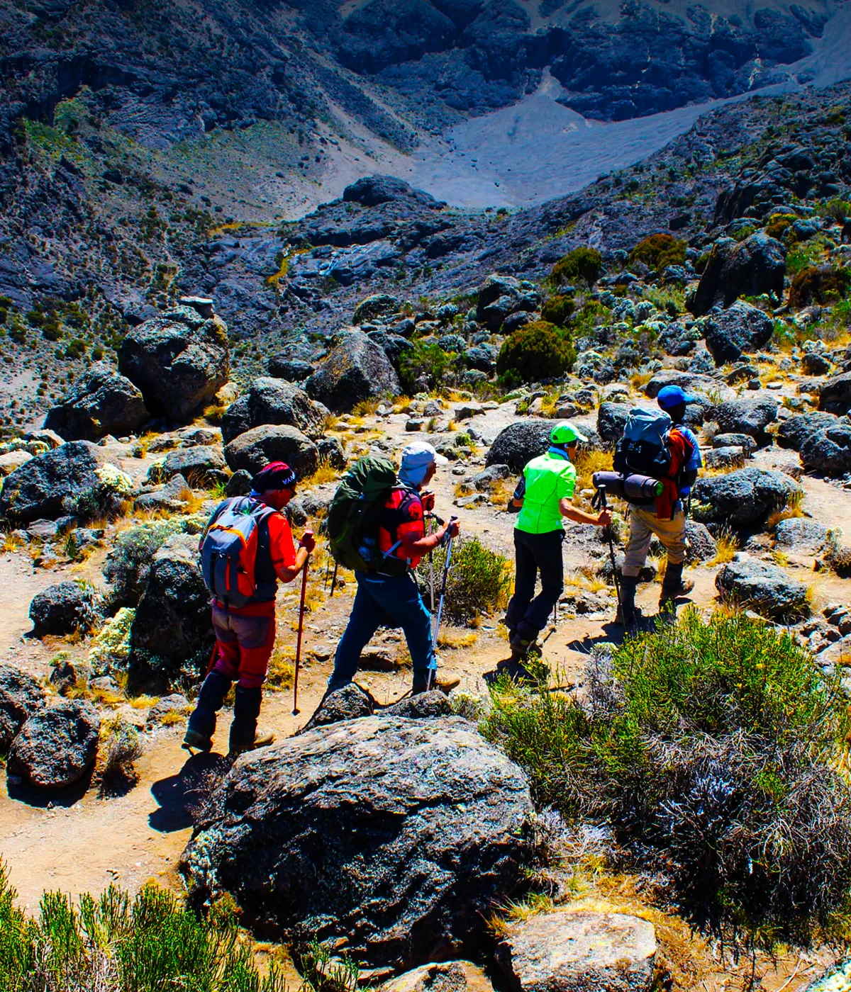 6 Days Rongai Route