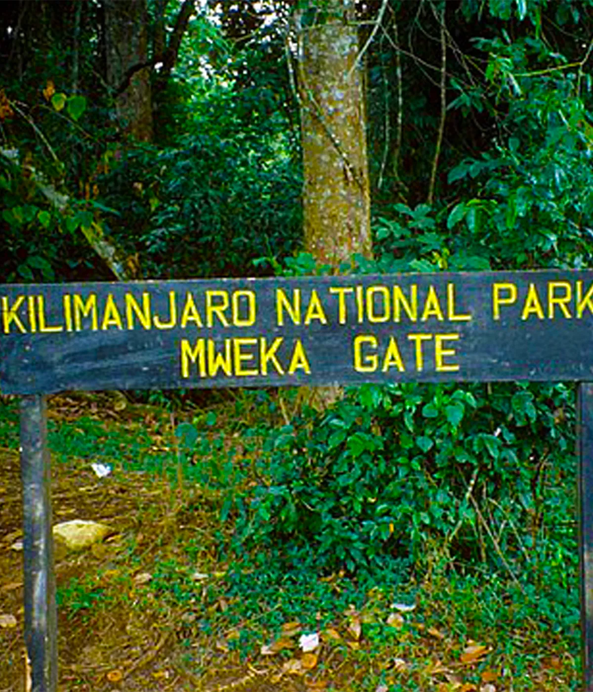 Mweka Gate