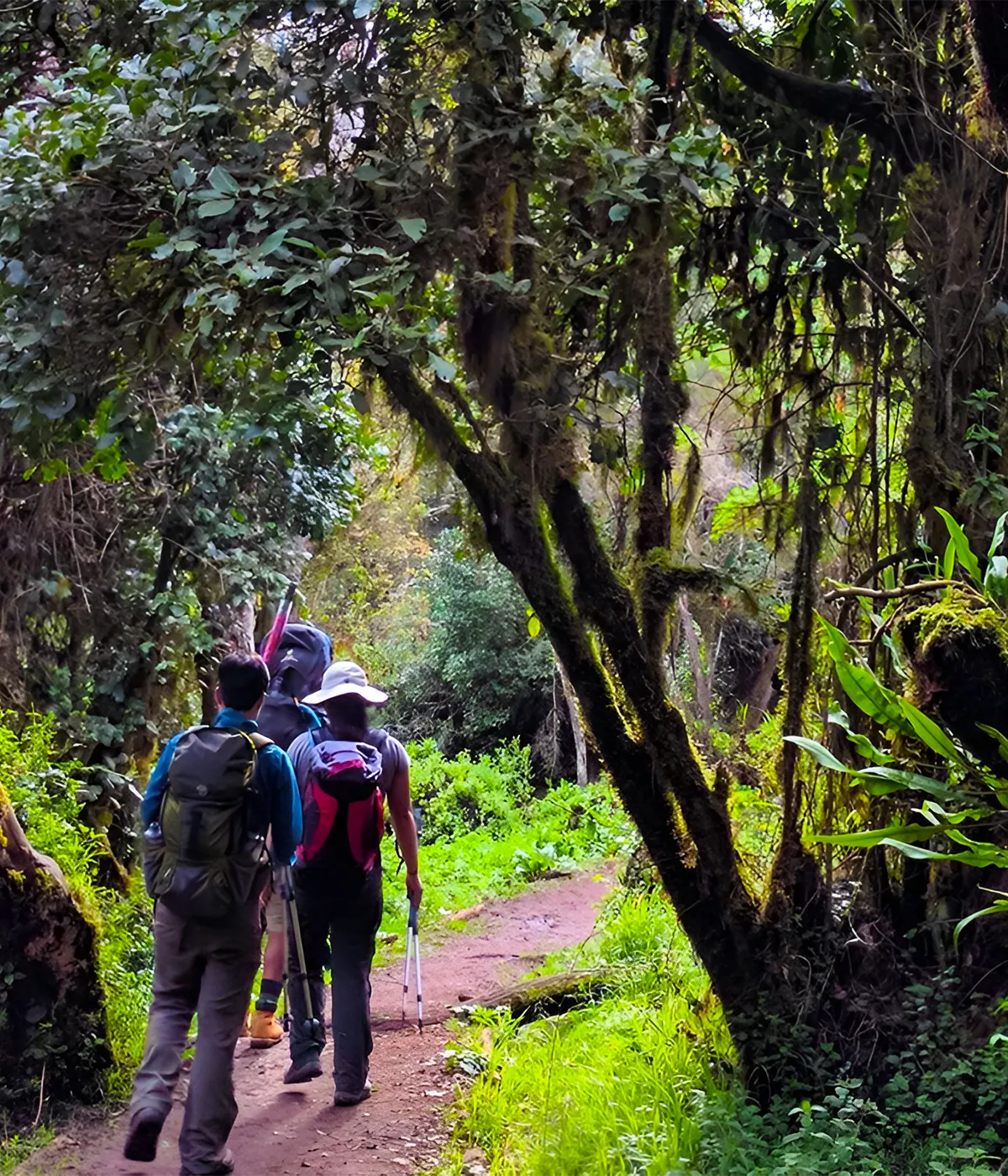 Barranco Camp Trekking