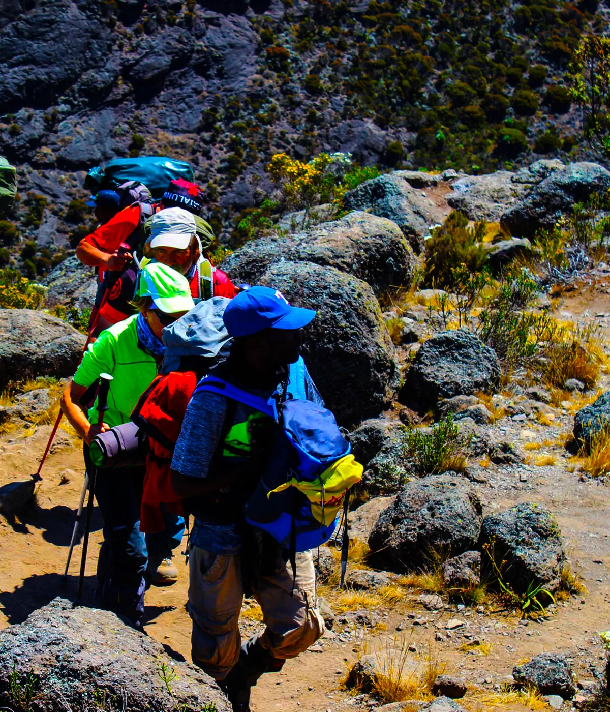 6 Days Umbwe Route