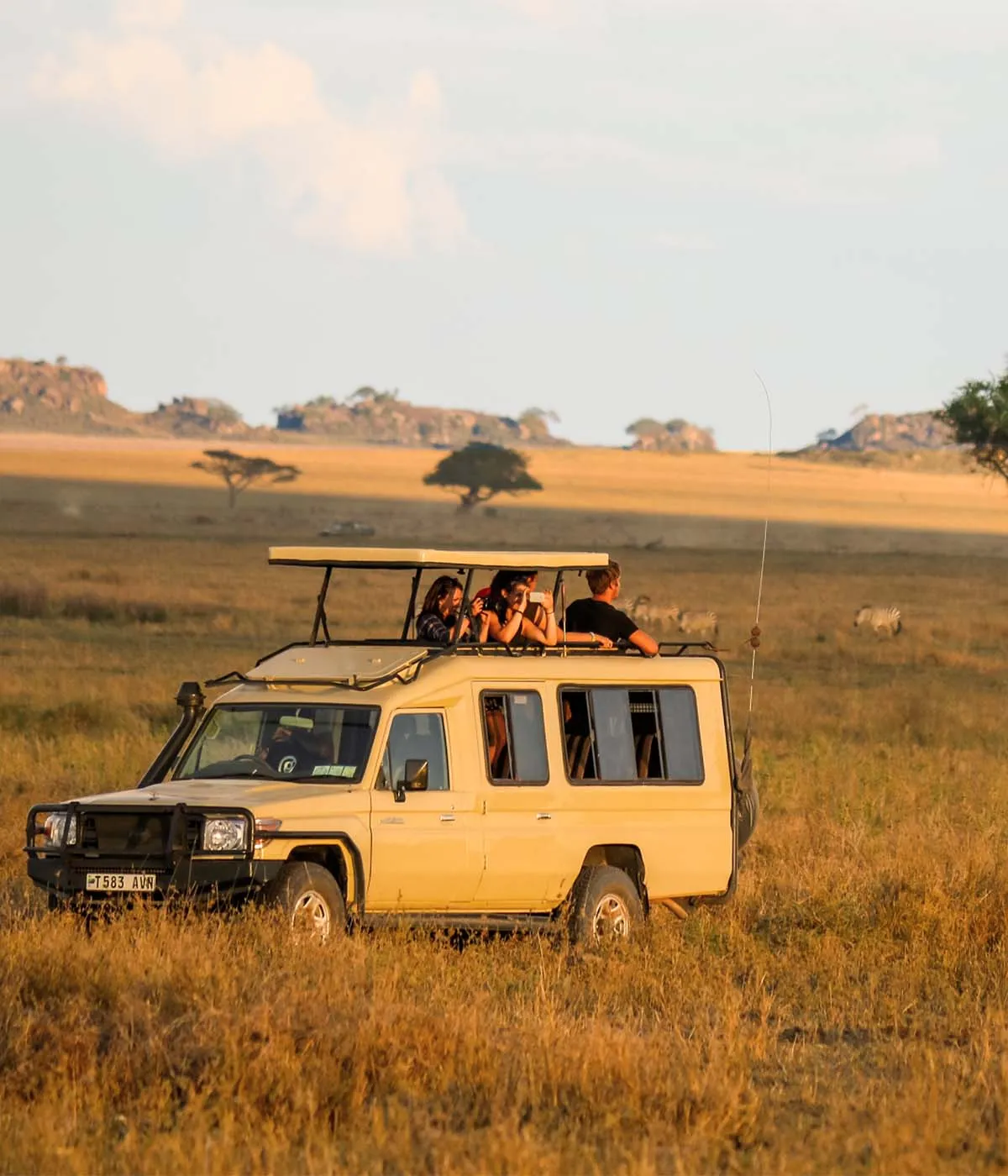 Serengeti - Ngorongoro Game Drives
