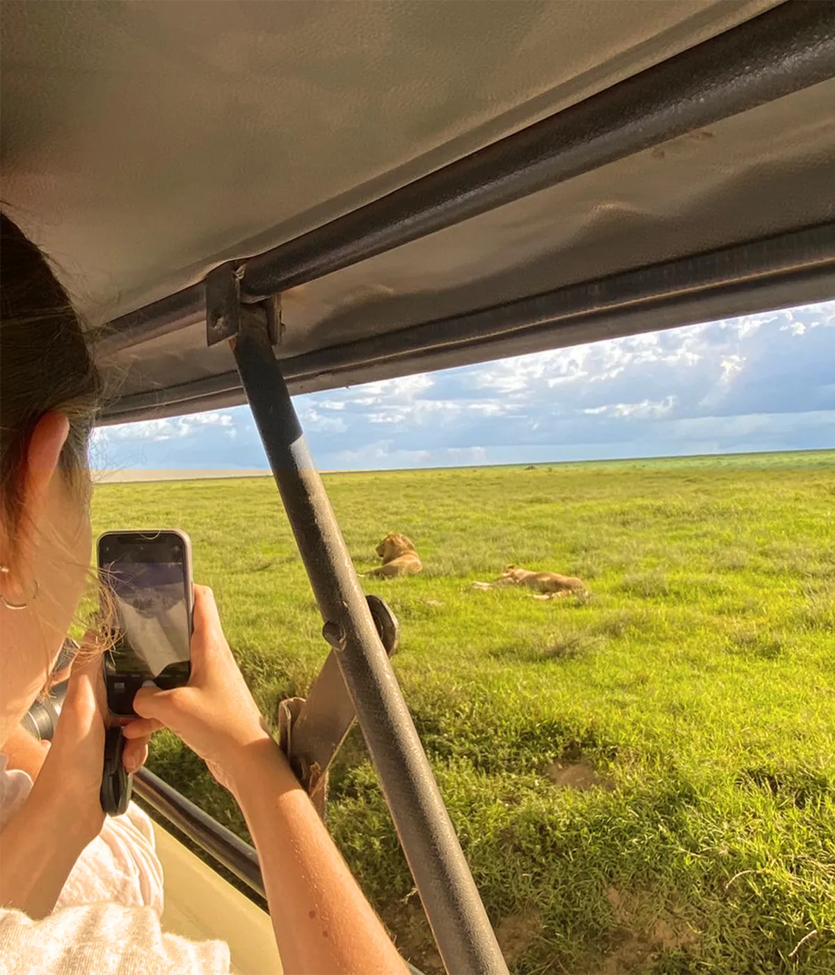 Tarangire National Park Attraction