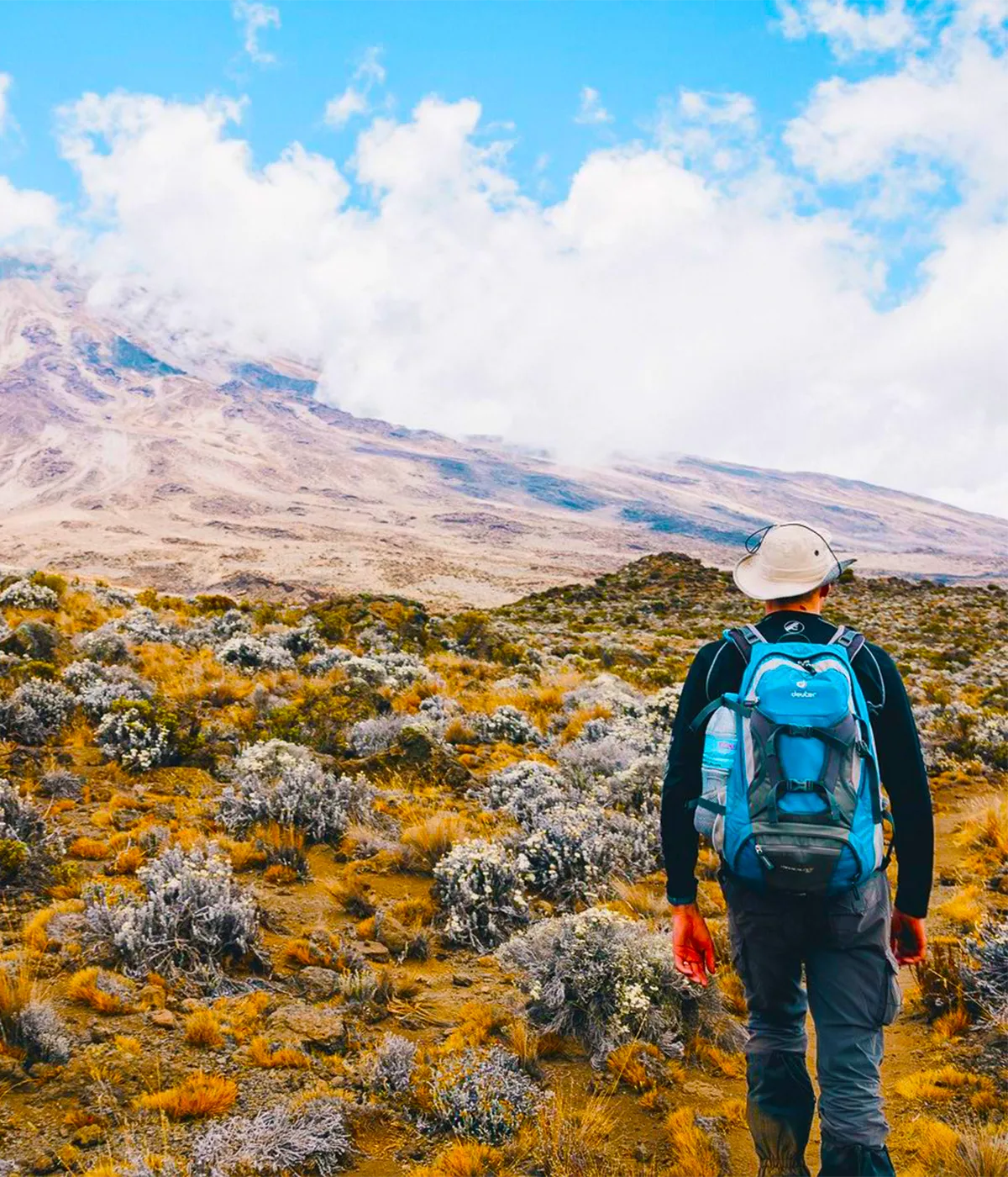 Rongai Route Trekking Rongai Route Trekking