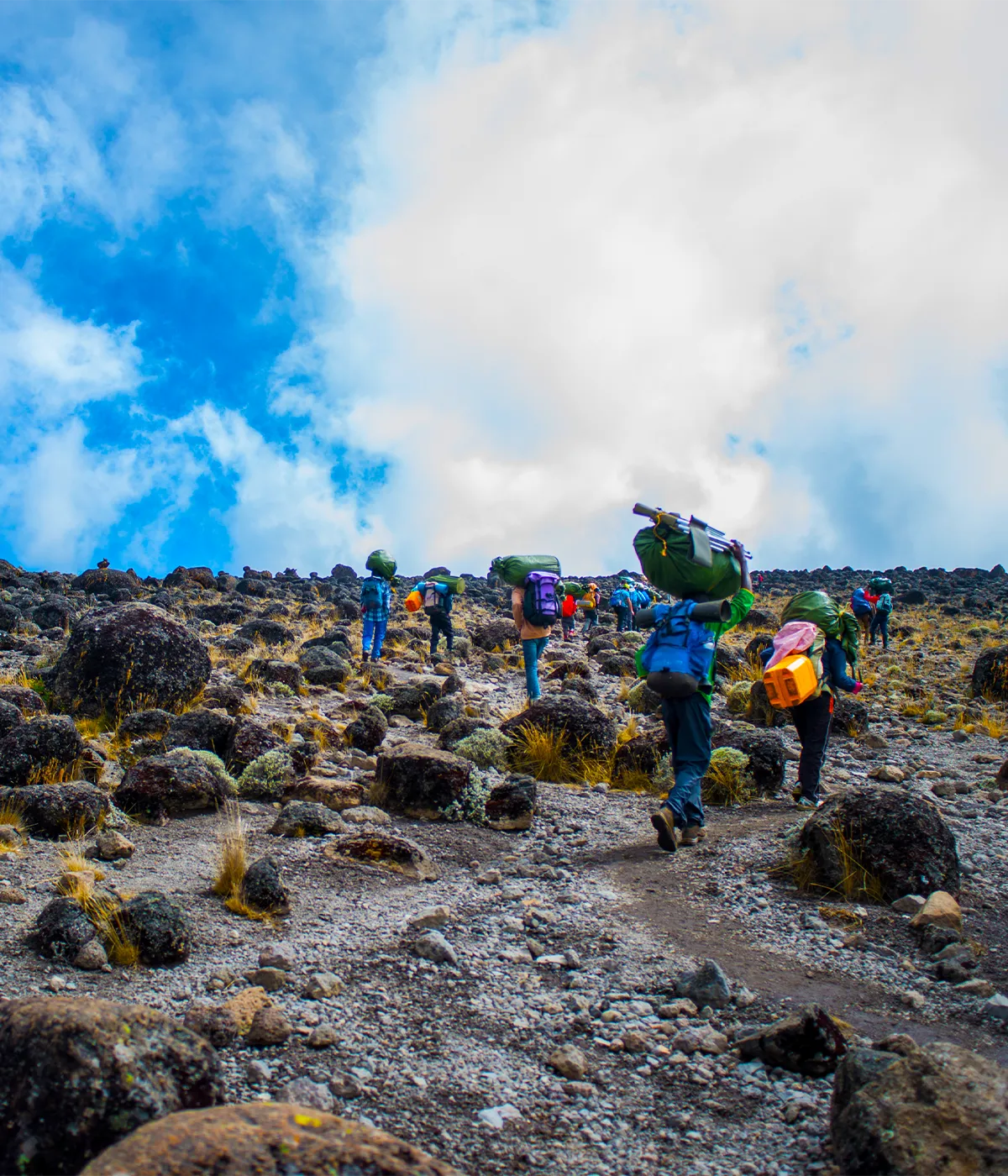 Horombo Hut Route Horombo Hut Route