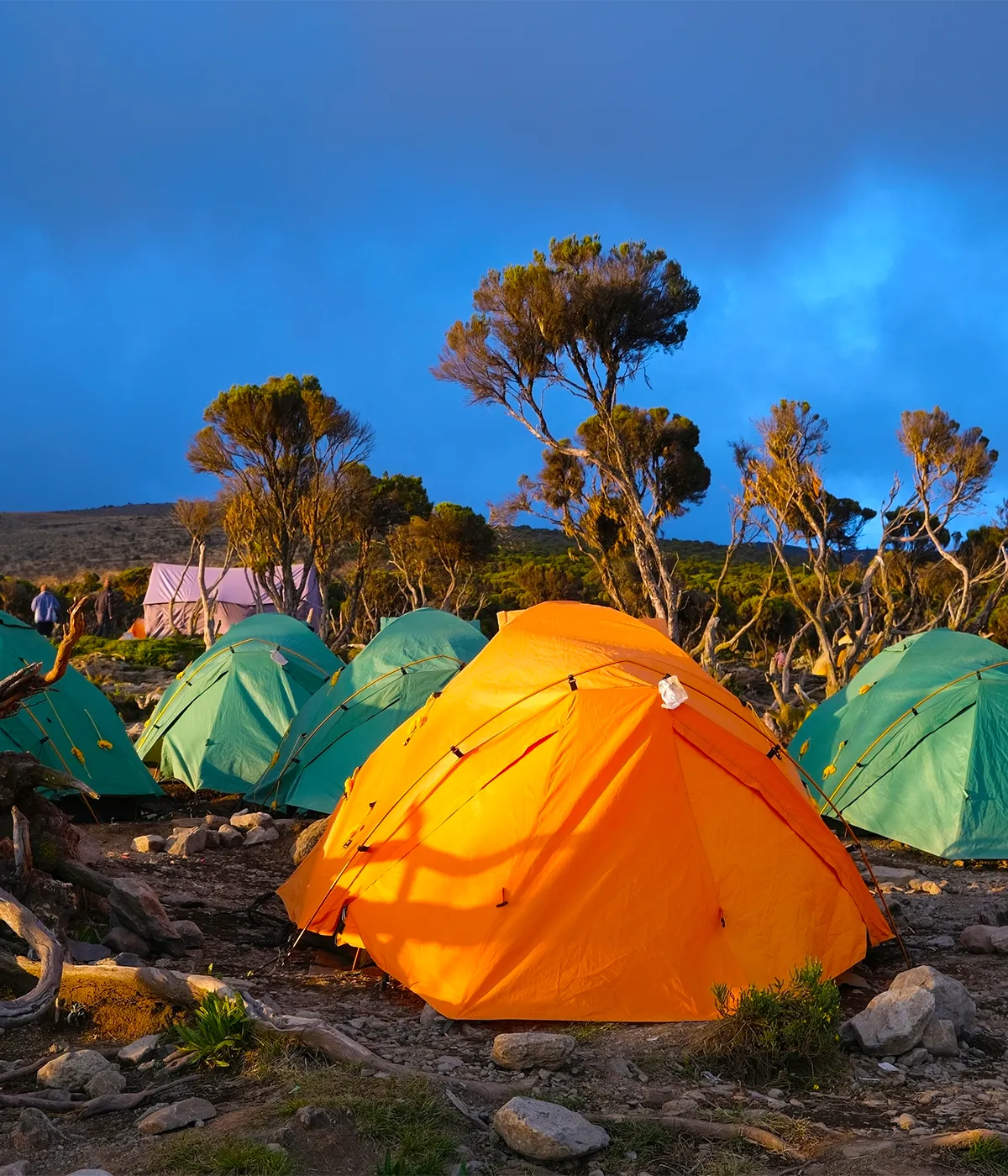 Horombo Hut Camp Horombo Hut Camp