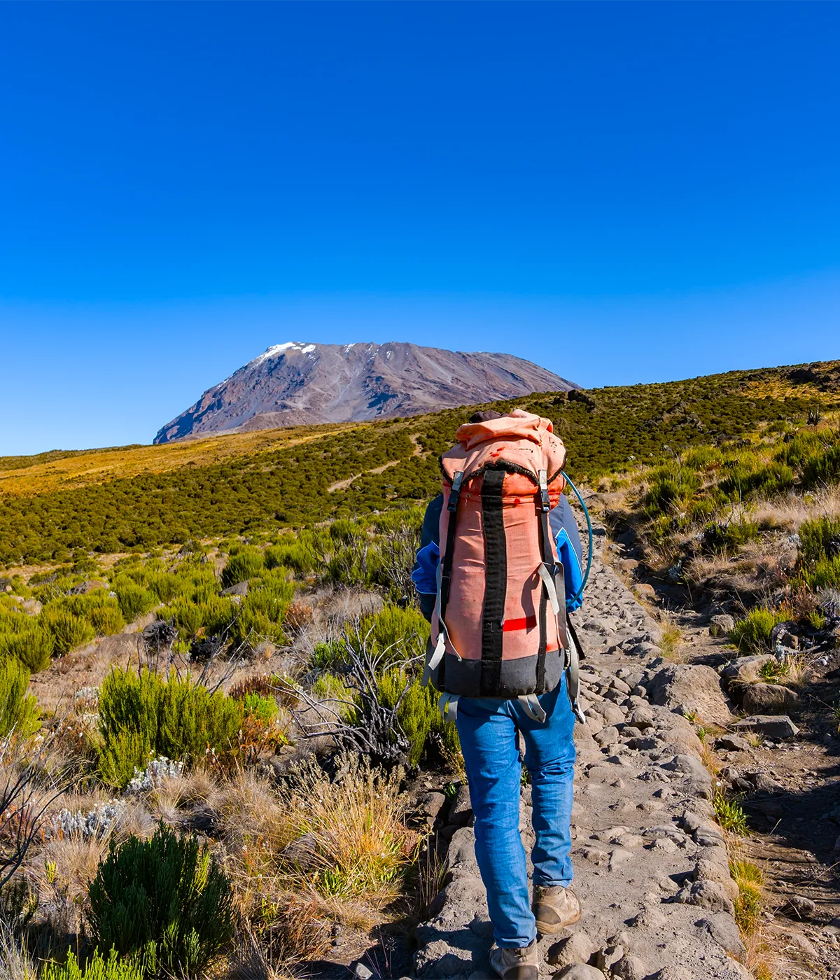 Rongai Route Trekking Rongai Route Trekking