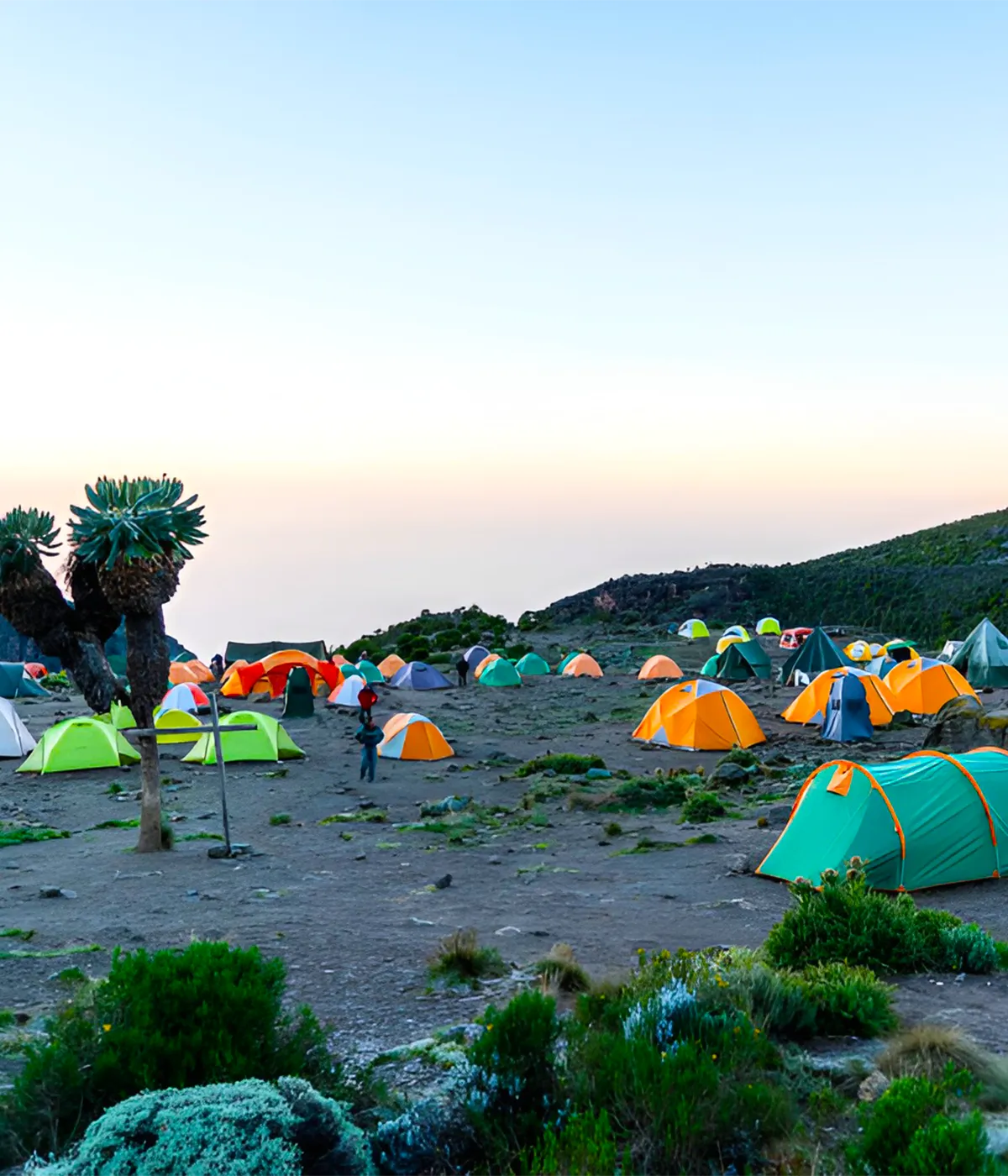 Kikelewa Campsite Kikelewa Campsite