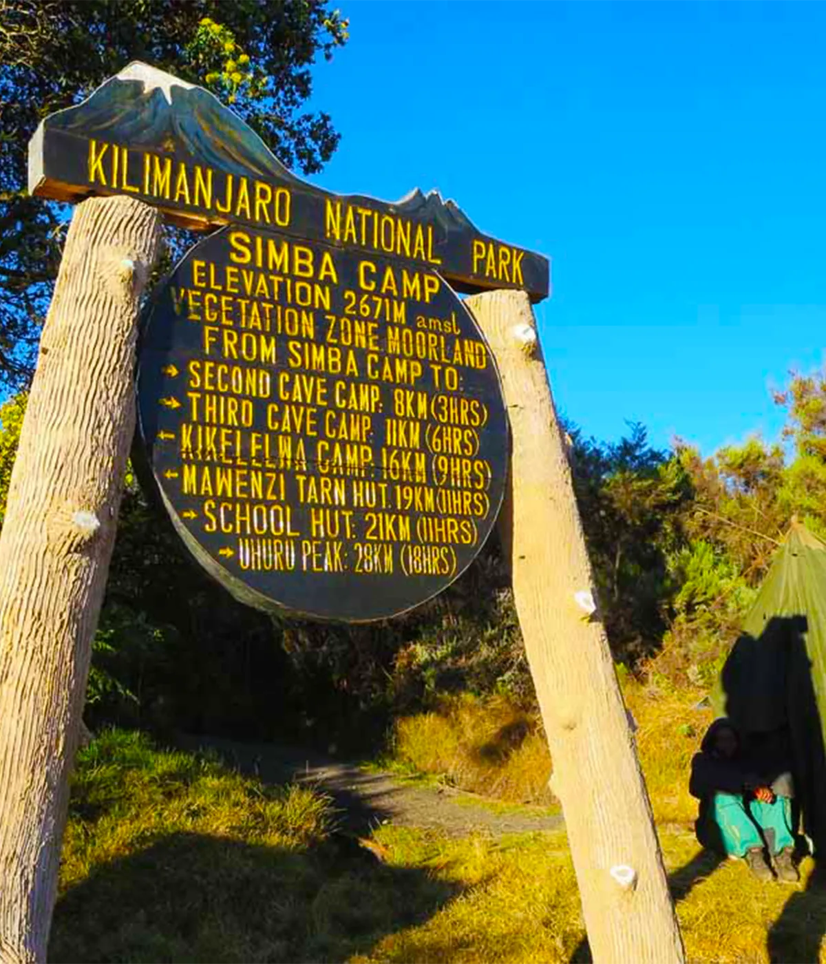 Simba Camp