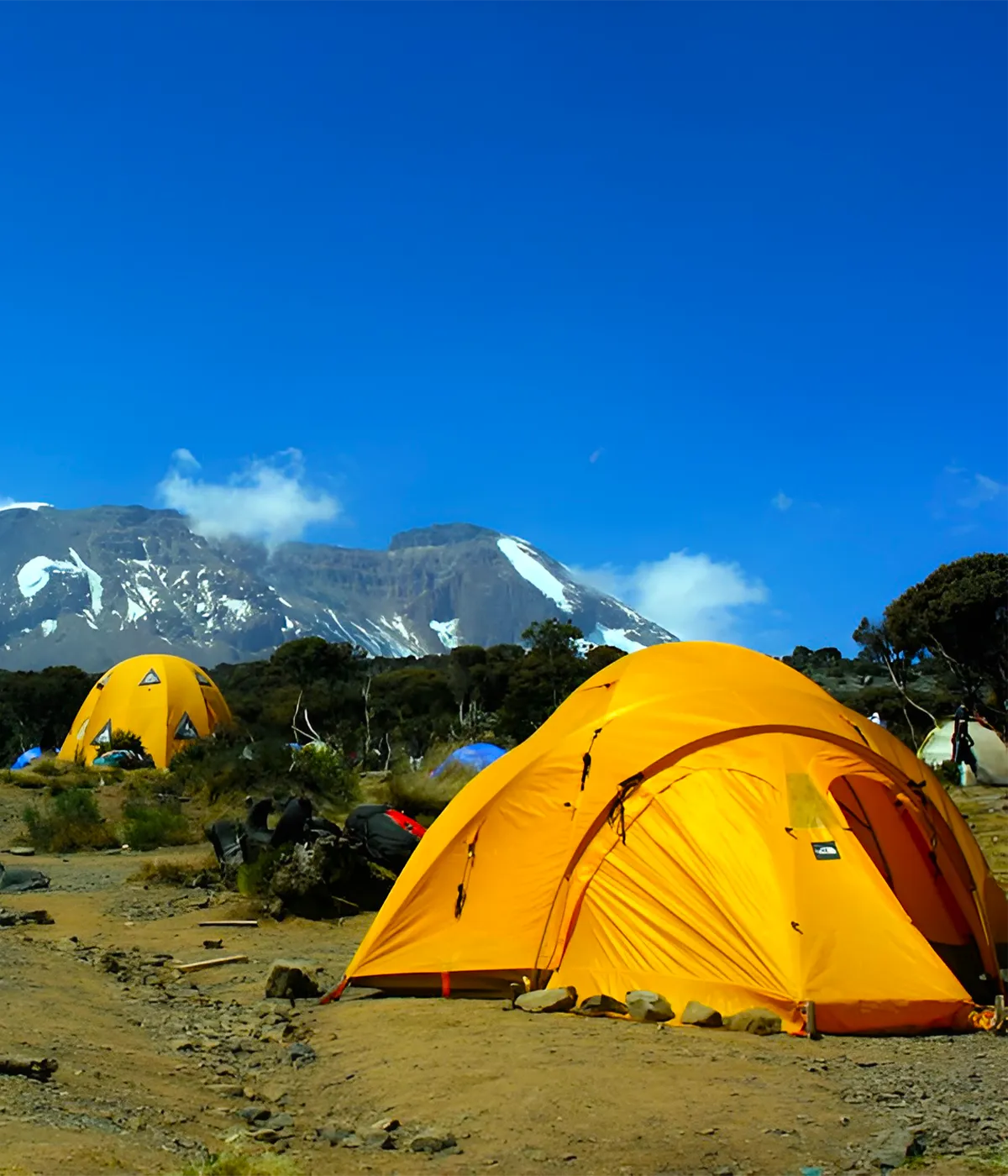 Simba Camp View