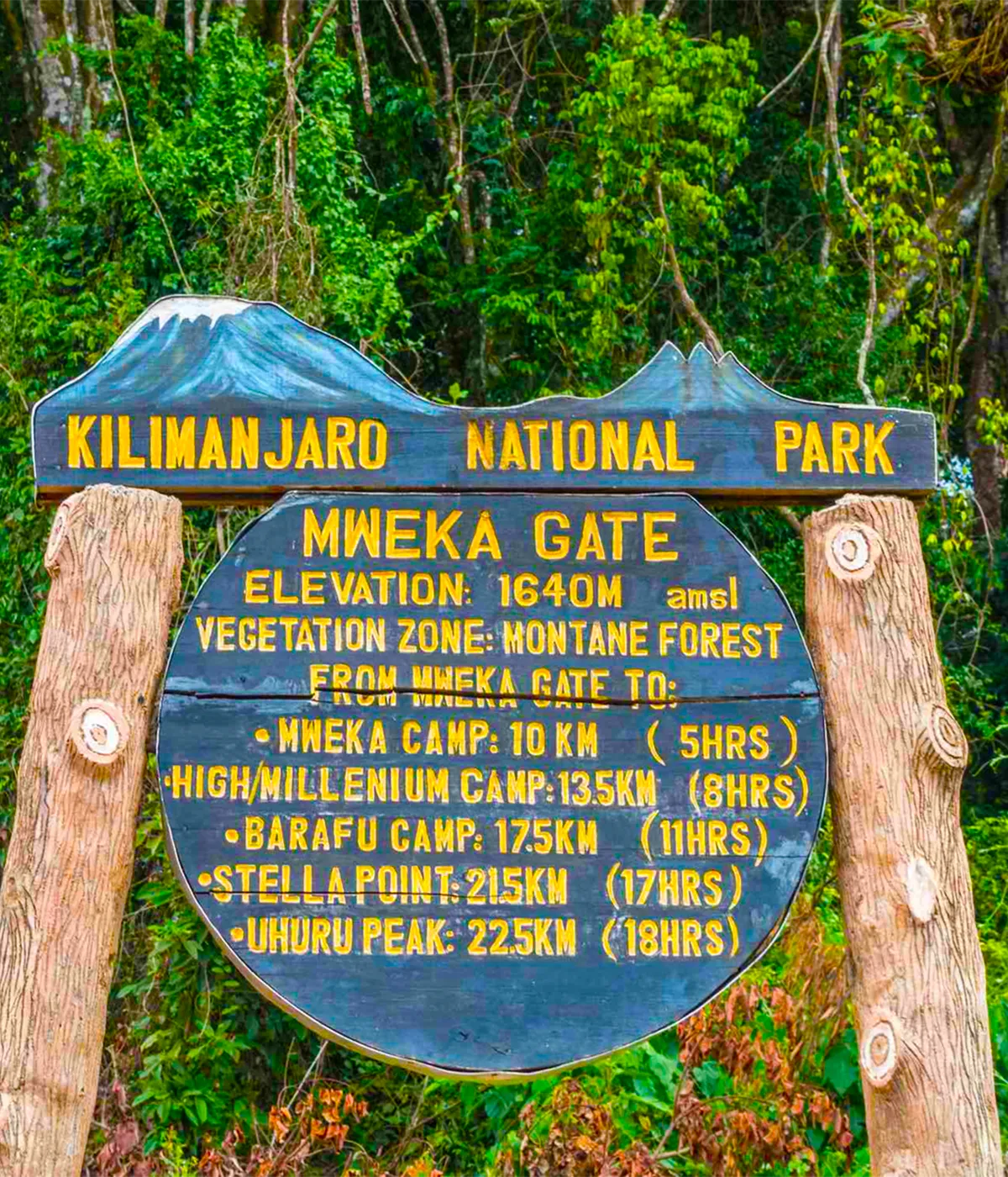 Mweka Gate