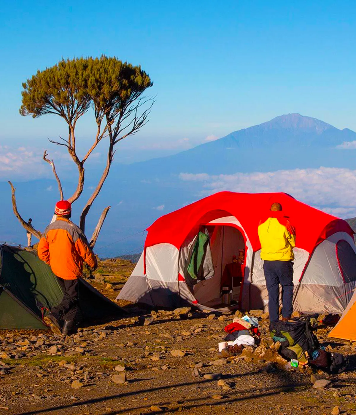 Simba Camp Site