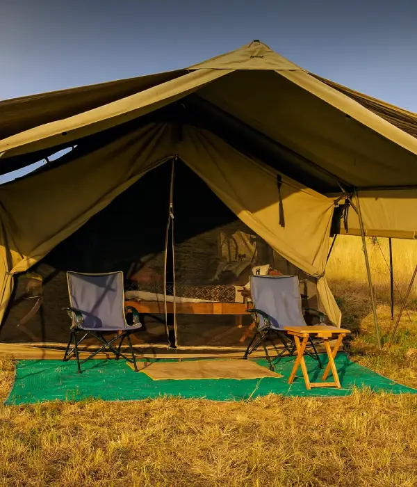 5 Days Tanzania Camping Safari