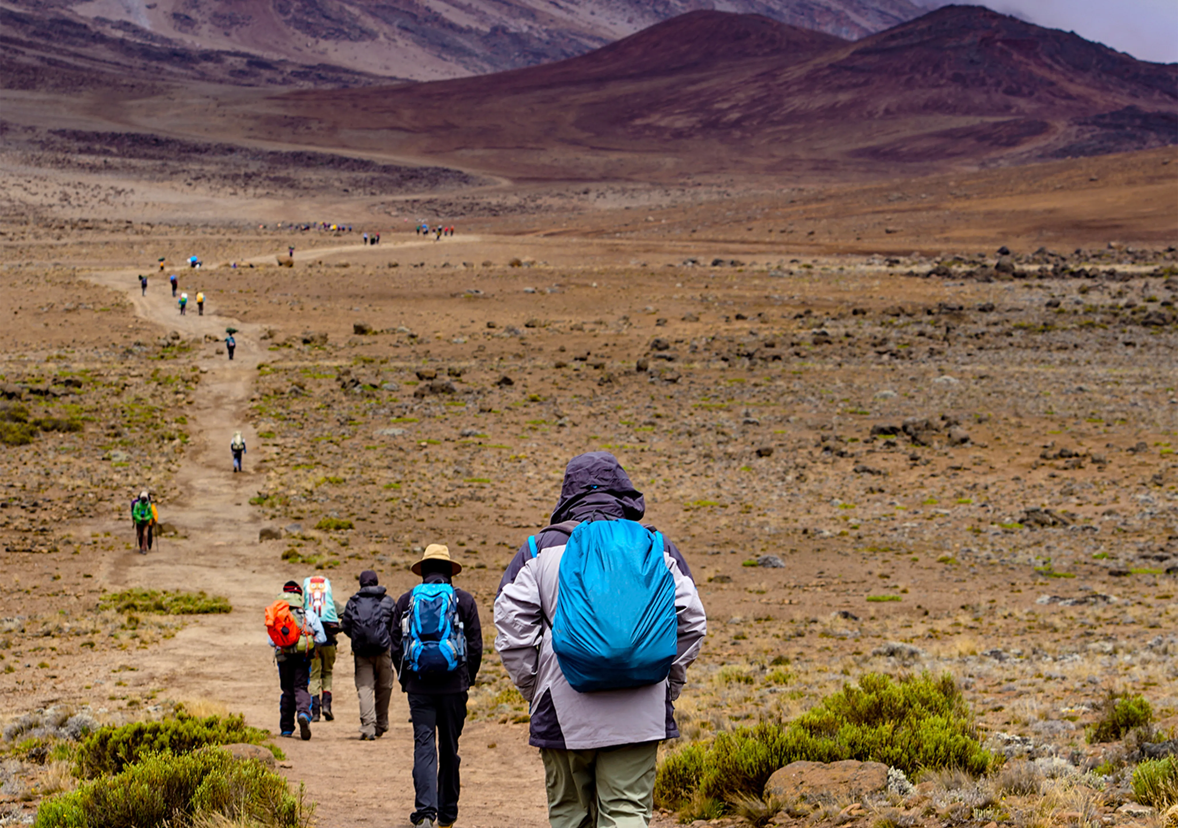 Best Time to Hike Mt Kilimanjaro