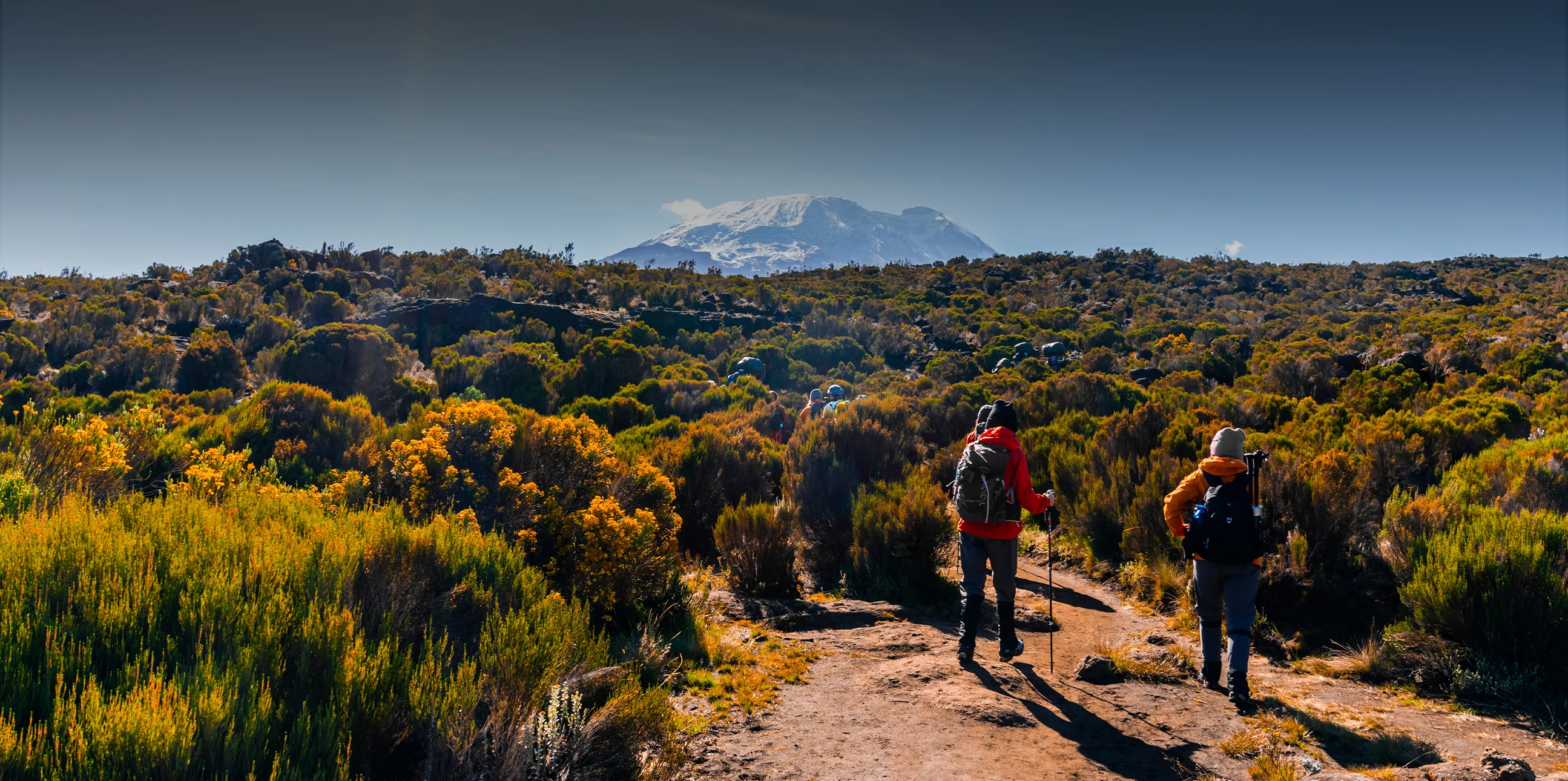 Best Time For Climbing Kilimanjaro