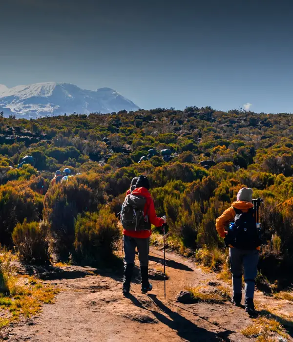Best Time For Kilimanjaro