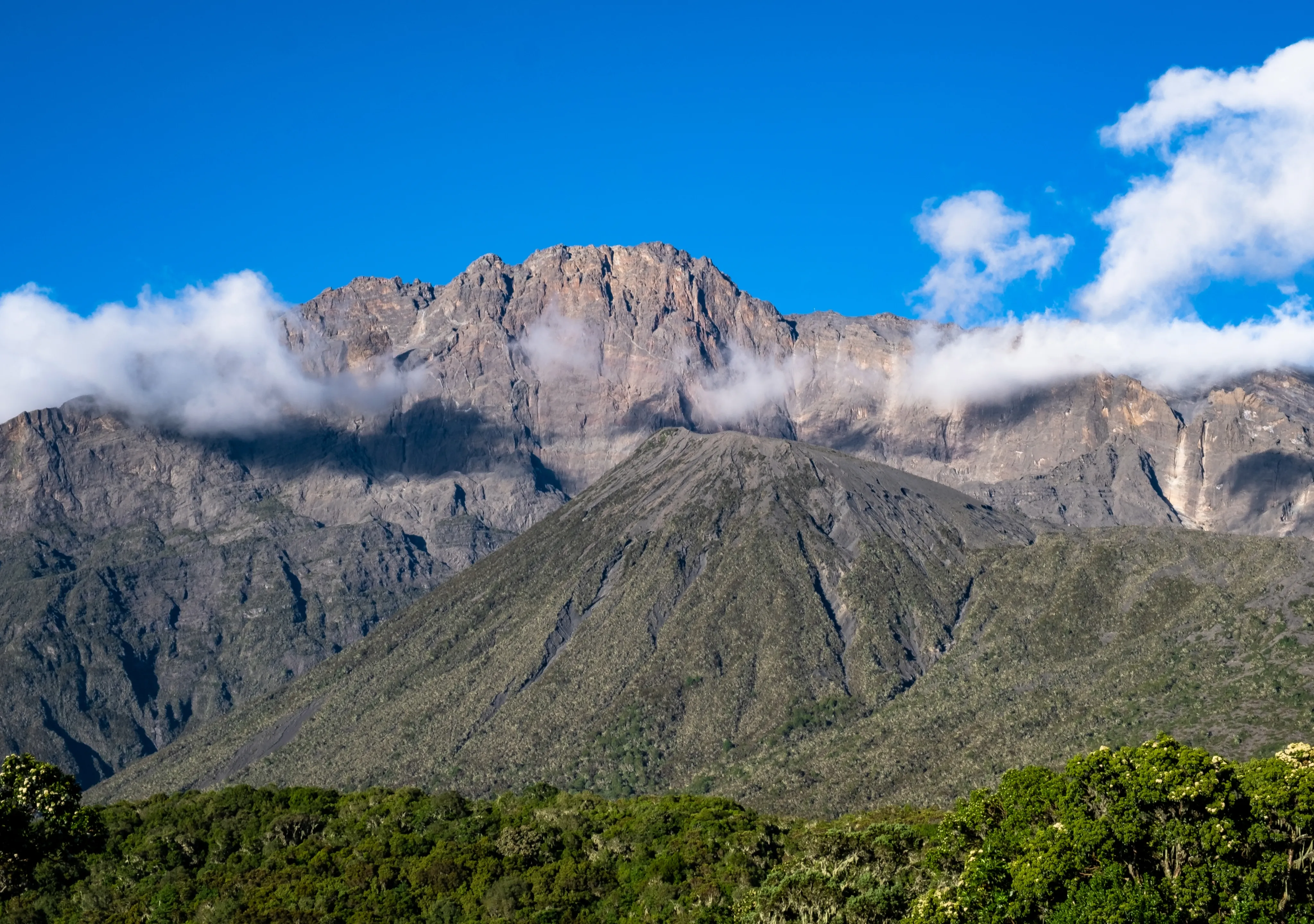 Climb Mount Kilimanjaro
