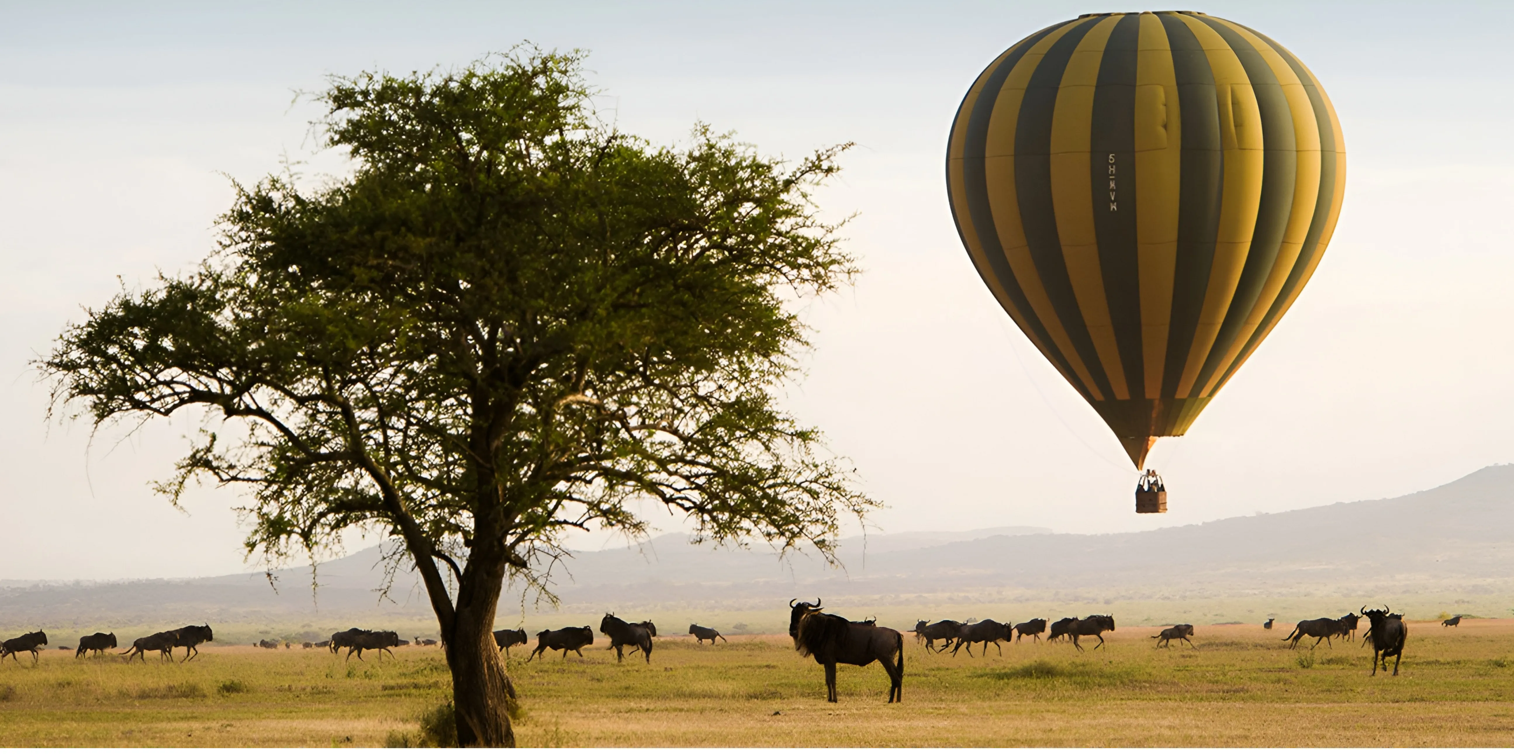 Hot Air Balloon Safaris