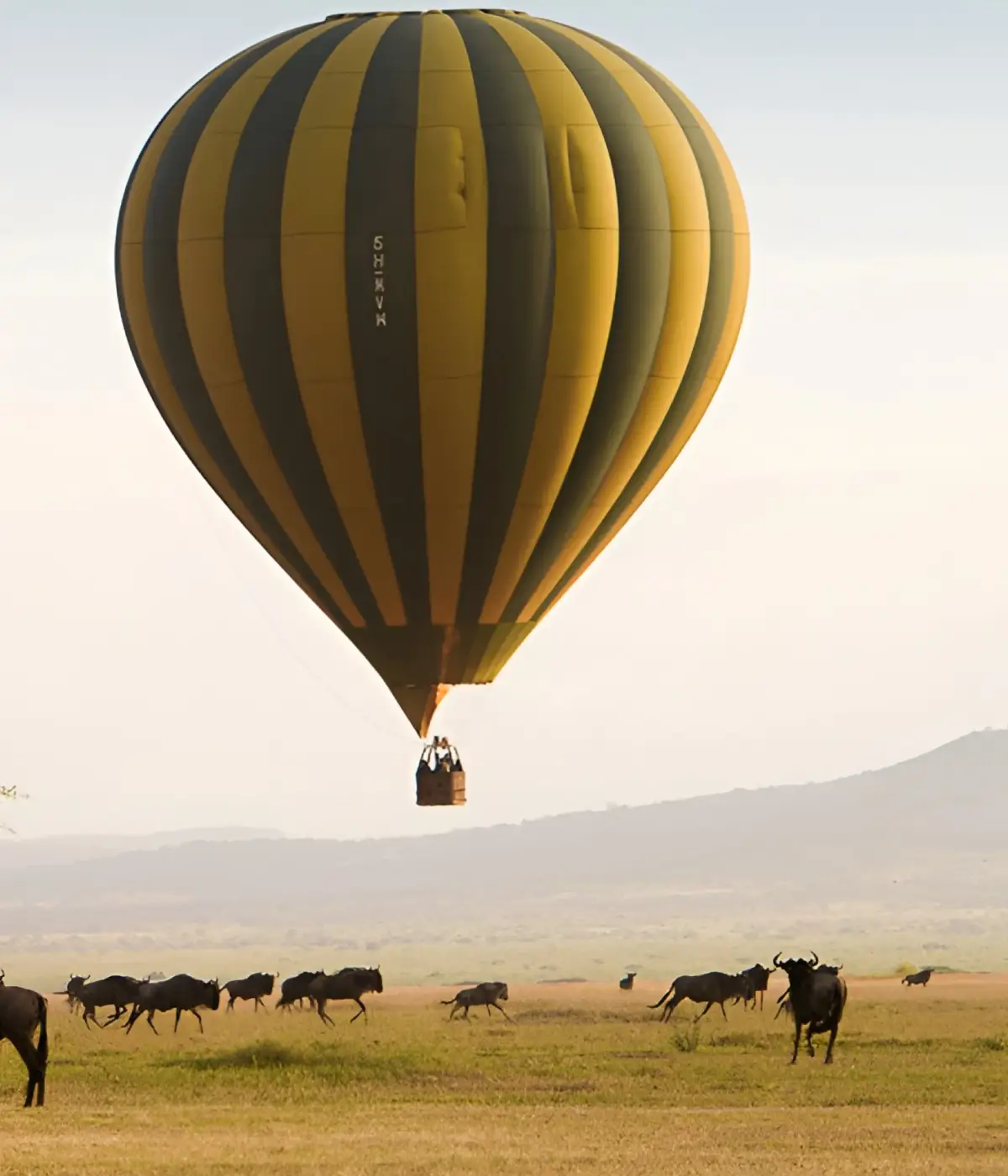 Hot Air Balloon Safaris