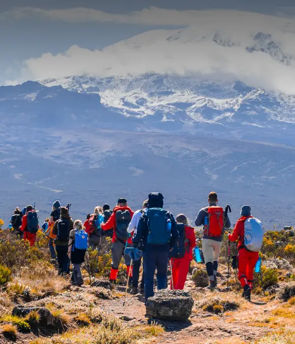 Kilimanjaro Climbing Cost