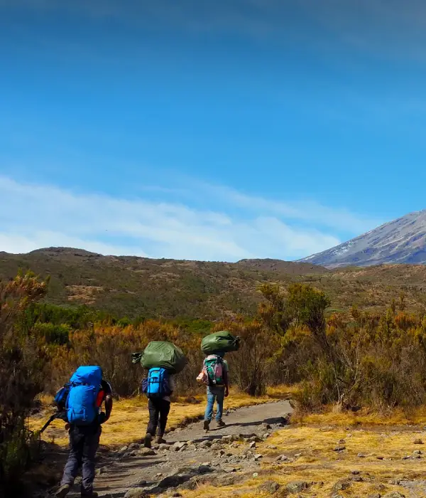 Kilimanjaro FAQs